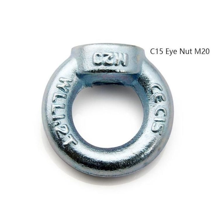 Forged Galvanized Lifting C15 DIN 582 Eye Nut
